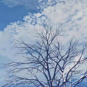 ✡️✡色✡️网✡️站女女
